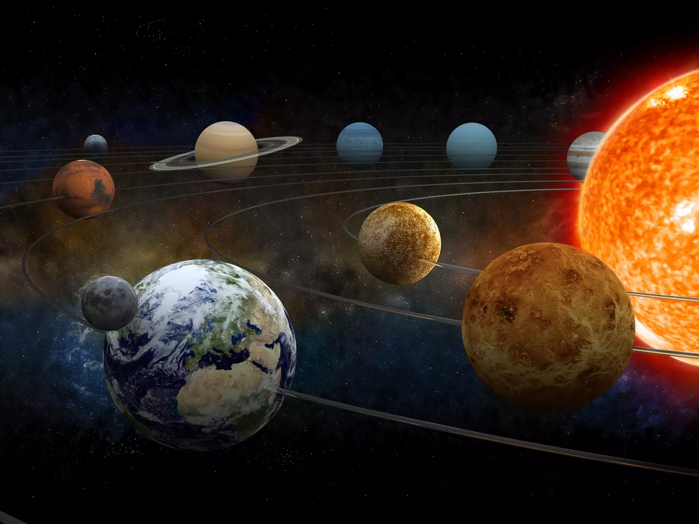 SCIEPRO / adventtr / Getty