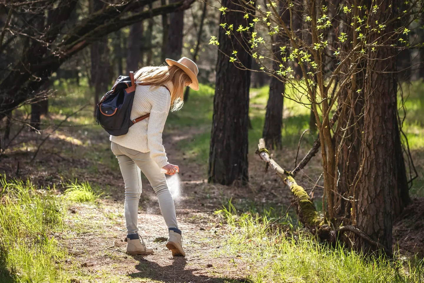 Make sure to spray your clothes and exposed skin with insect repellent (Zbynek Pospisil/Getty Images)