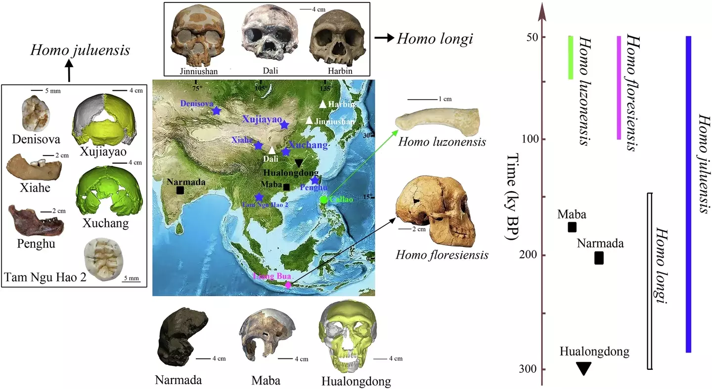 Blue stars show the likely locations of Homo juluensis (Nature Communications/Christopher J. Bae)