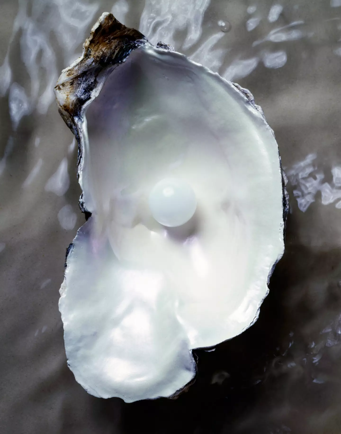 The design was inspired by undersea creatures (Glasshouse Images/Getty Images)