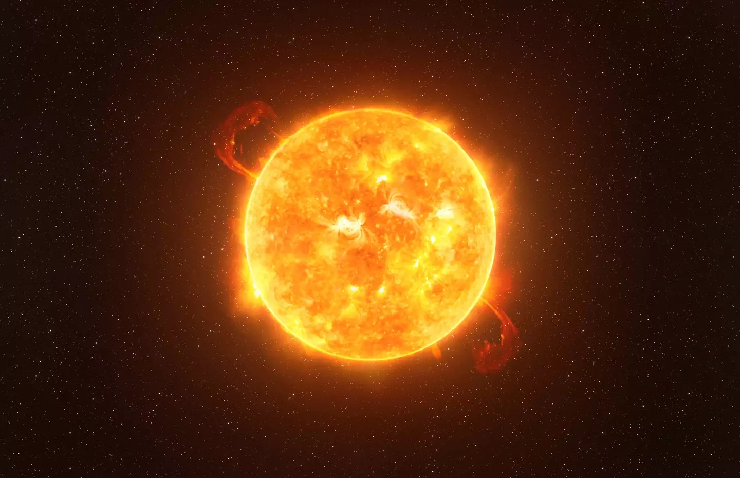 The sun has reached its solar maximum (dzika_mrowka/Getty Images)