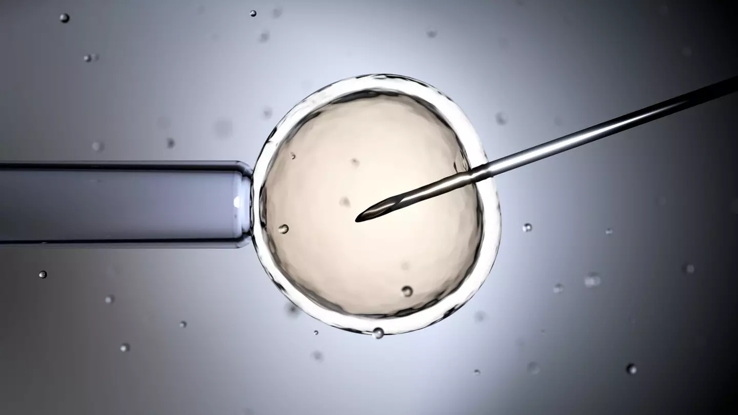 IVF involves artificially fertilizing an egg with sperm in a laboratory before the embryo is transferred to the uterus (Getty Stock)