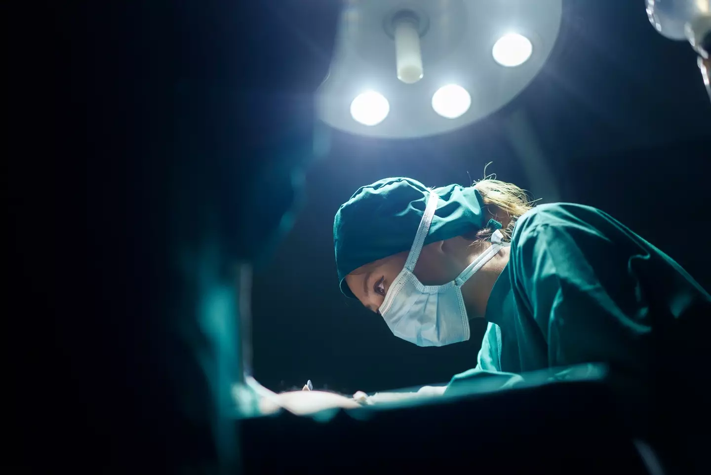 Scientists have successfully transplanted a pig’s lung into a human (skaman306/Getty Images)