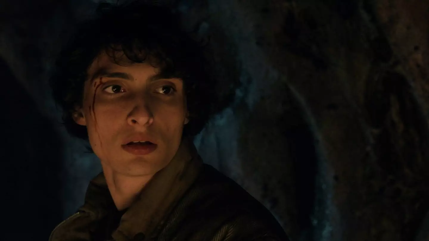 Wolfhard has a typically comedic response to the end of the series (Netflix)