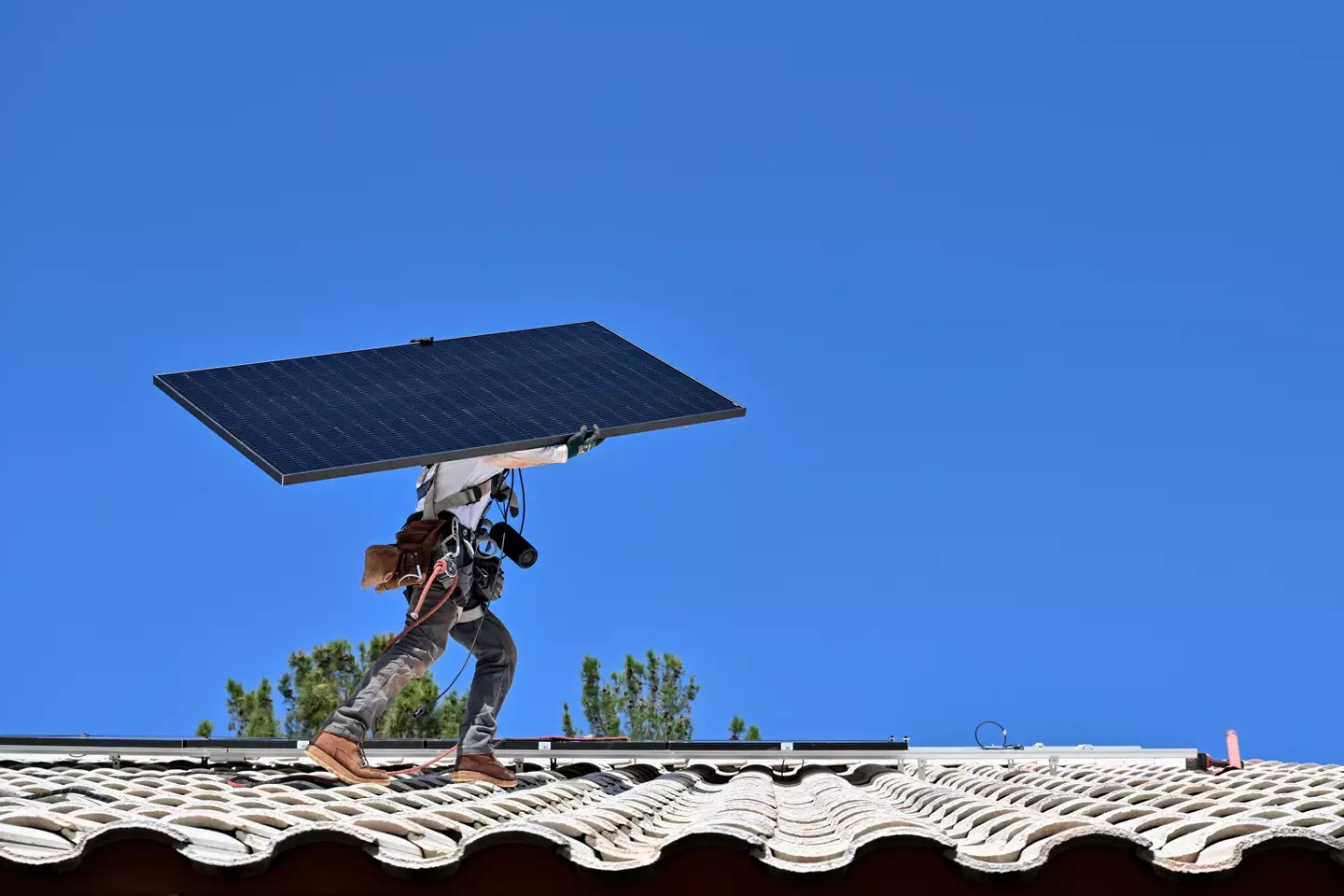 A Reddit user posted how much they saved after installing solar panels.