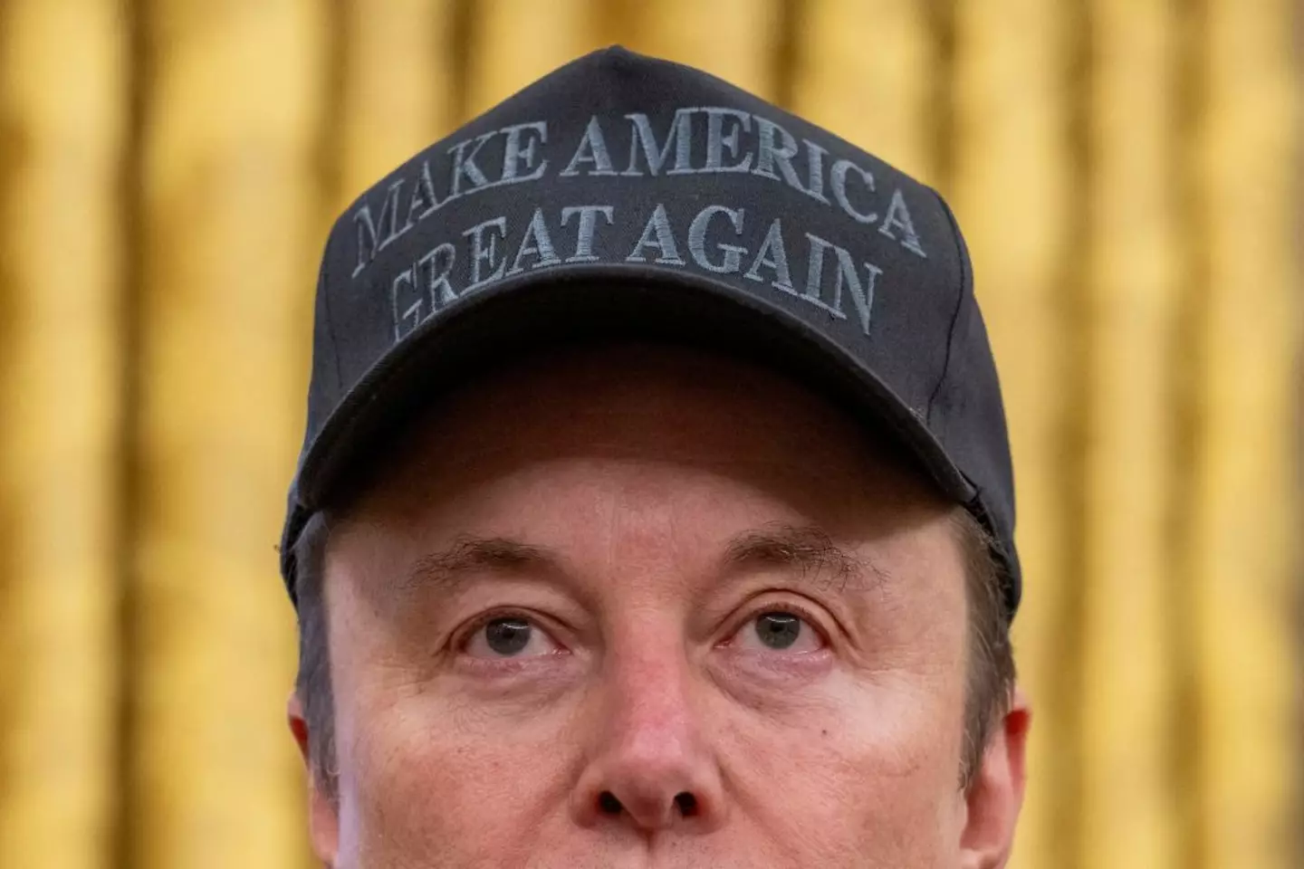 Musk's close relationship with Trump has led to major pushback from his fellow Canadian citizens (Jim Watson/AFP via Getty Images)