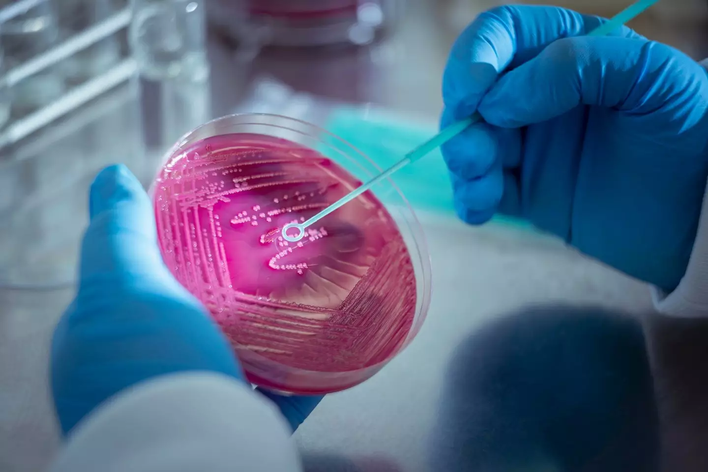 scientists have successfully created an entirely new virus species in the lab (Monty Rakusen/Getty)