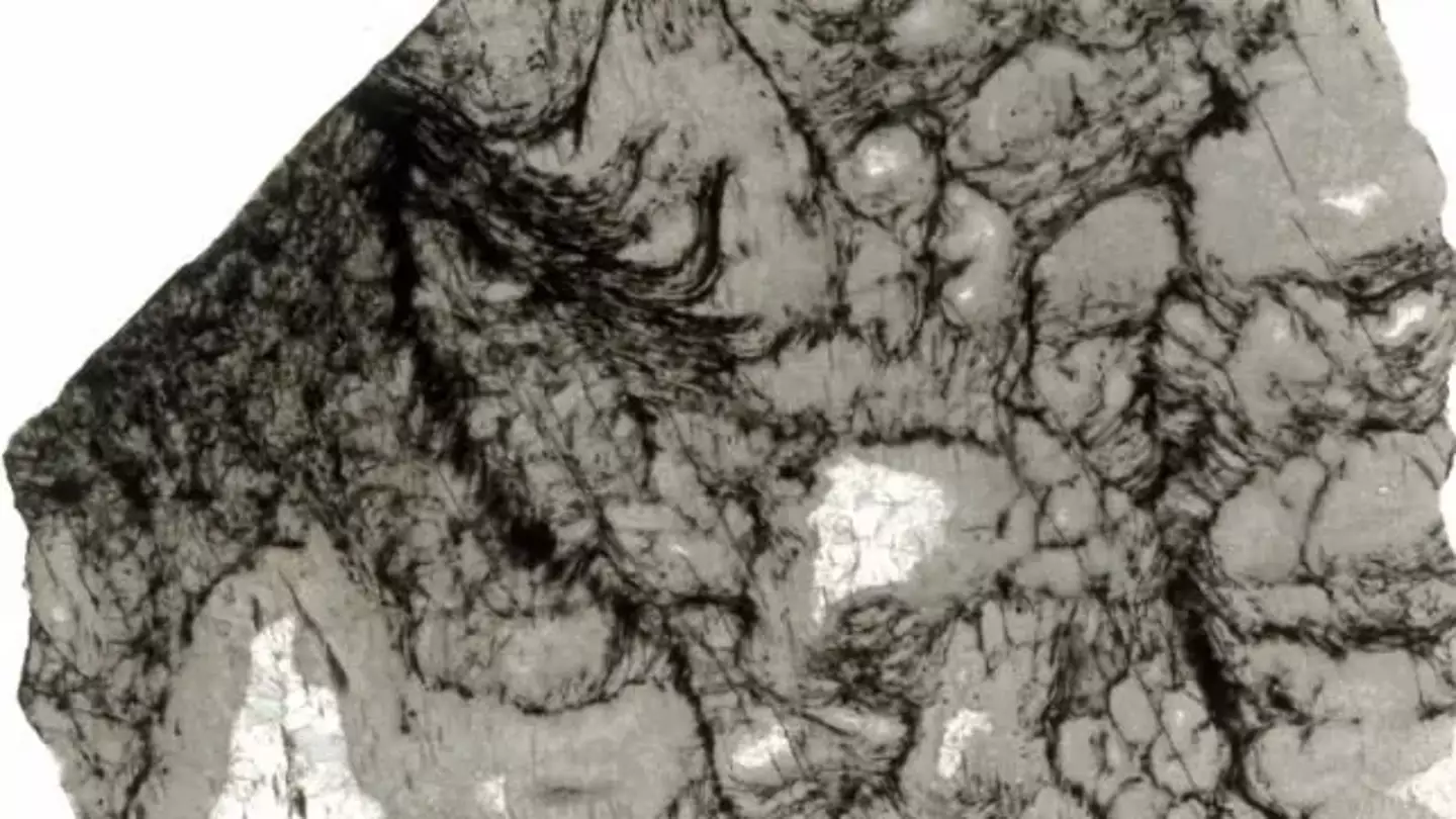 Scientists made a remarkable discovery buried deep within a 3.3-billion-year-old rock (Andrea Corpolongo/Carnegie Institution for Science)