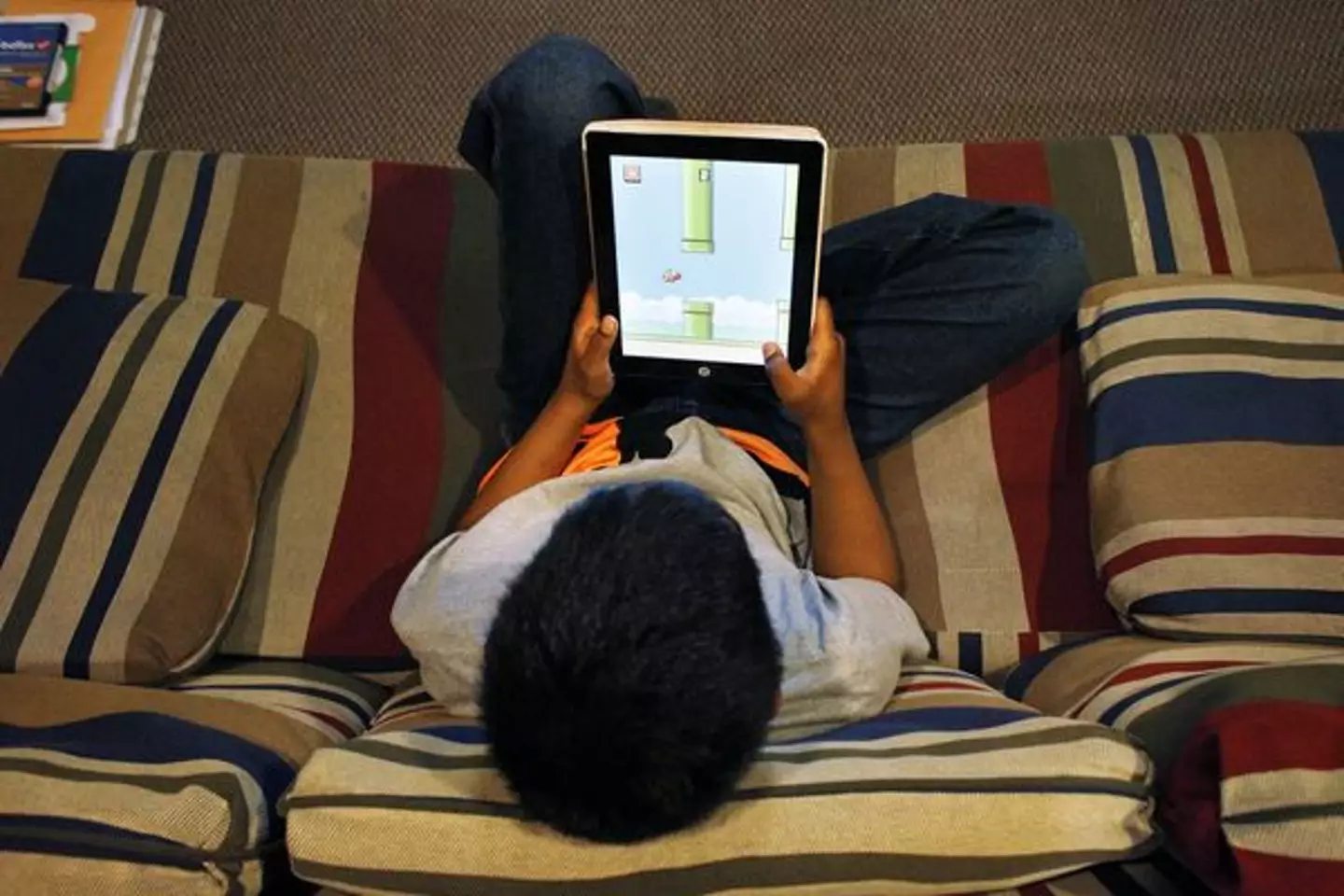 Flappy Birds was said to be highly addictive (Carlos Avila Gonzalez/The San Francisco Chronicle via Getty Images)