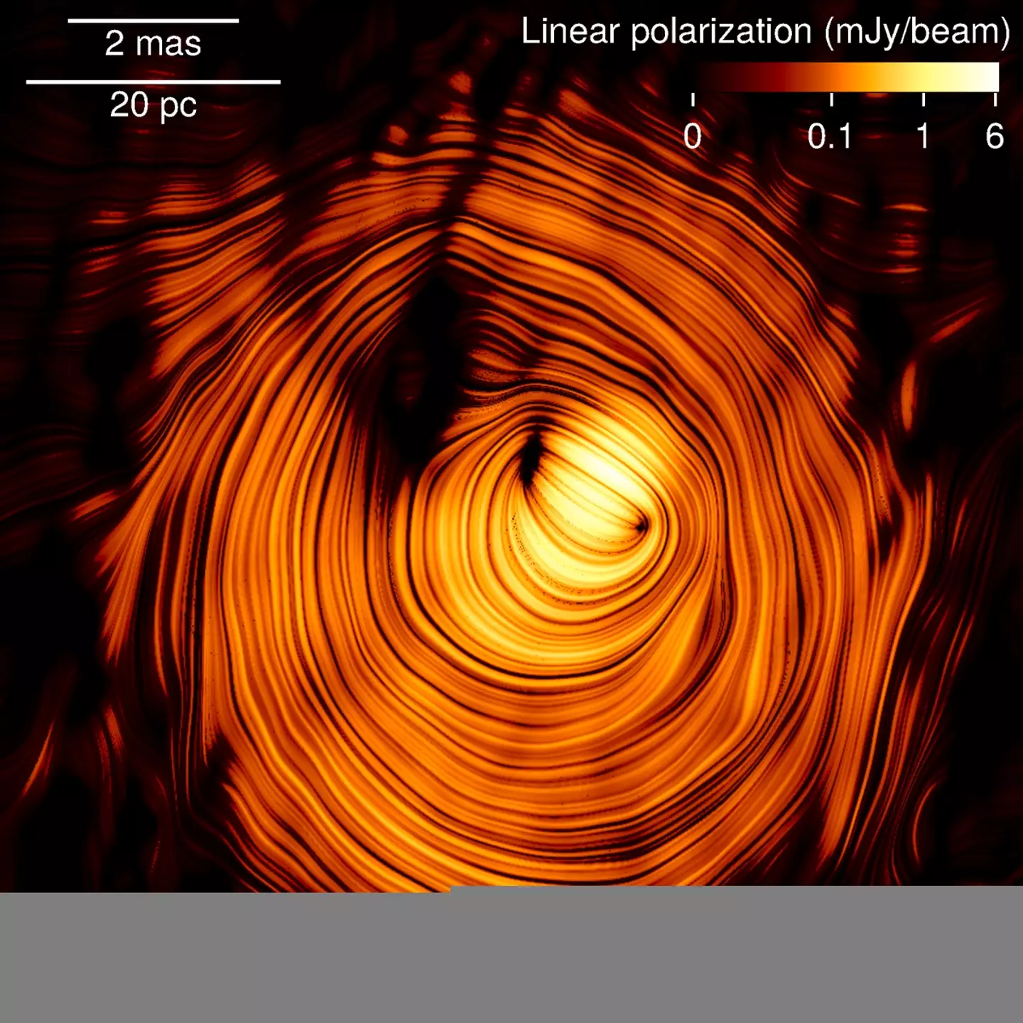 (Y.Y. Kovalev et al)