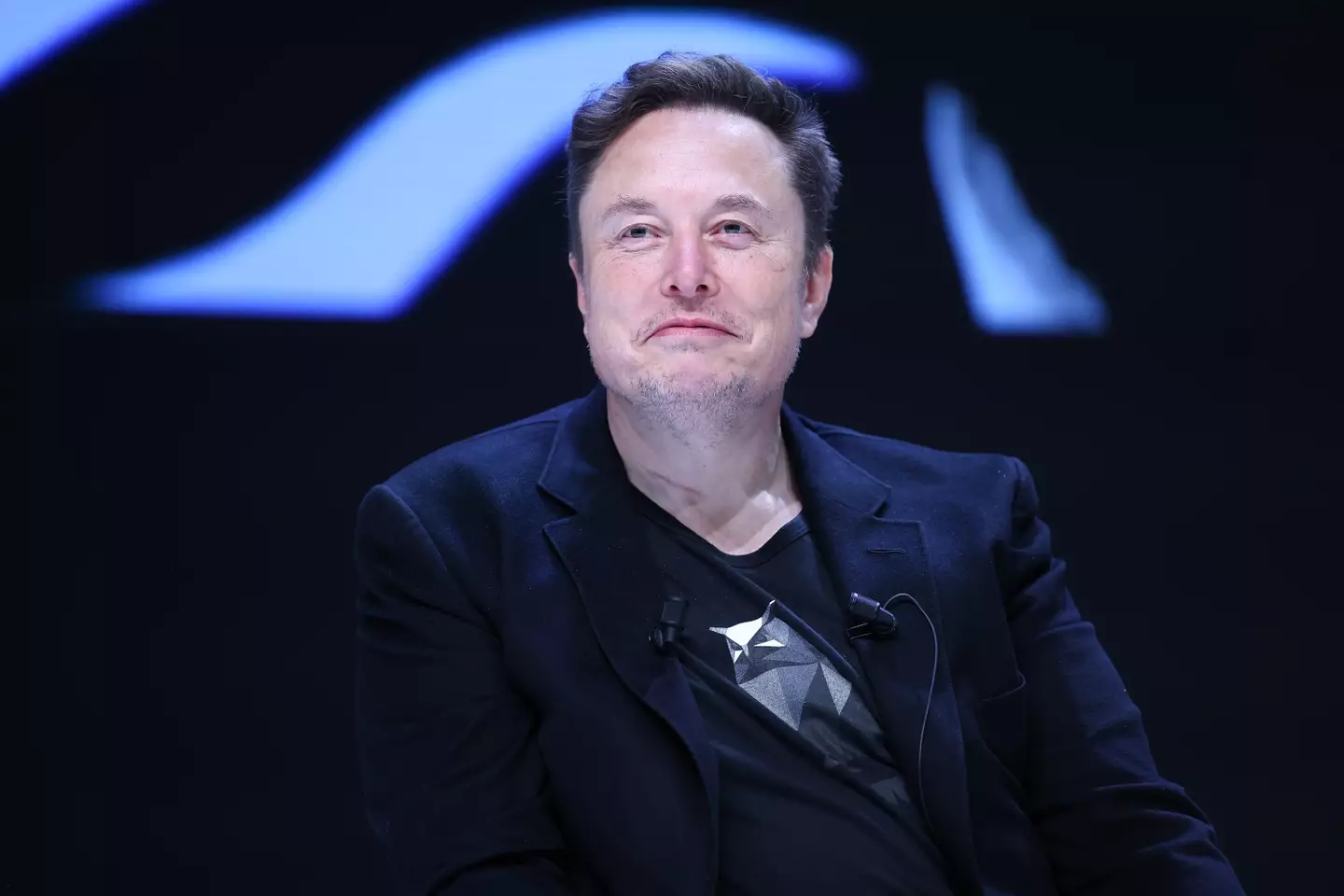 Billionaire Elon Musk has poked fun at the IT outage (Marc Piasecki/Getty Images)