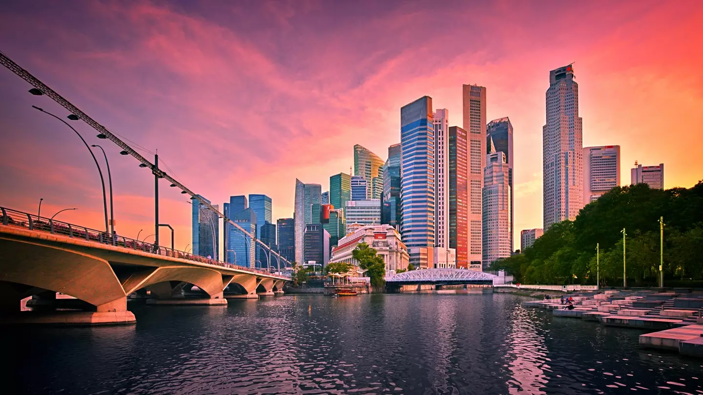 Elon Musk has claimed that Singapore is going extinct (ANDREY DENISYUK/Getty Images)