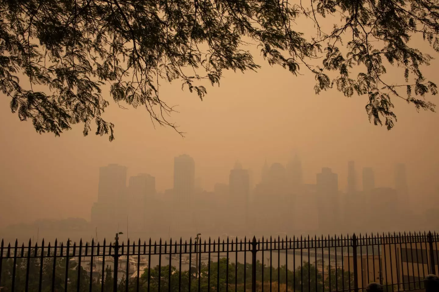 New York being blanketed by smoke from forest fires in June 2023 (Getty Images)