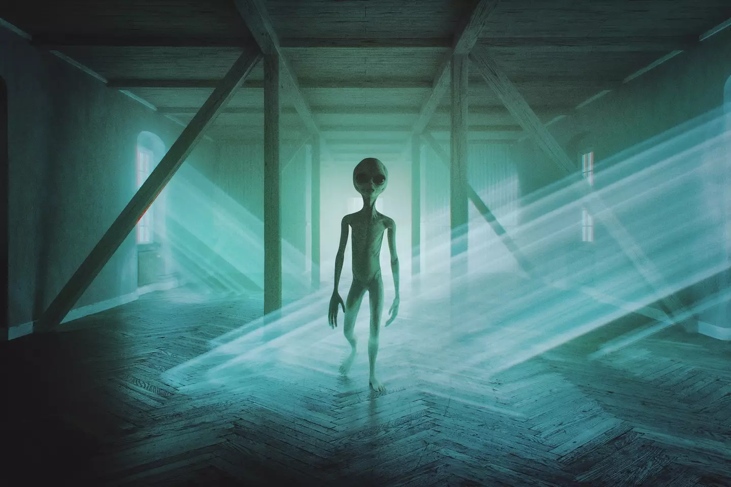 One expert has shared what he believes would happen if we made contact with aliens (gremlin/Getty Images)