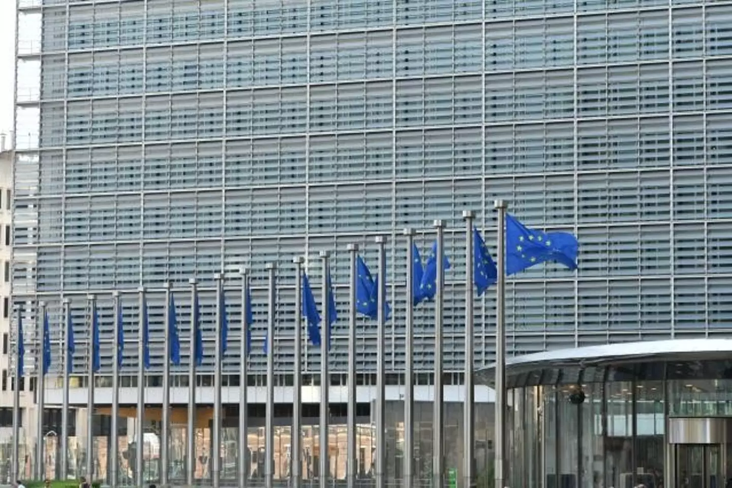 The European Commission has called its action against Meta and Apple a means of protecting the rights of citizens across the EU (European Union)
