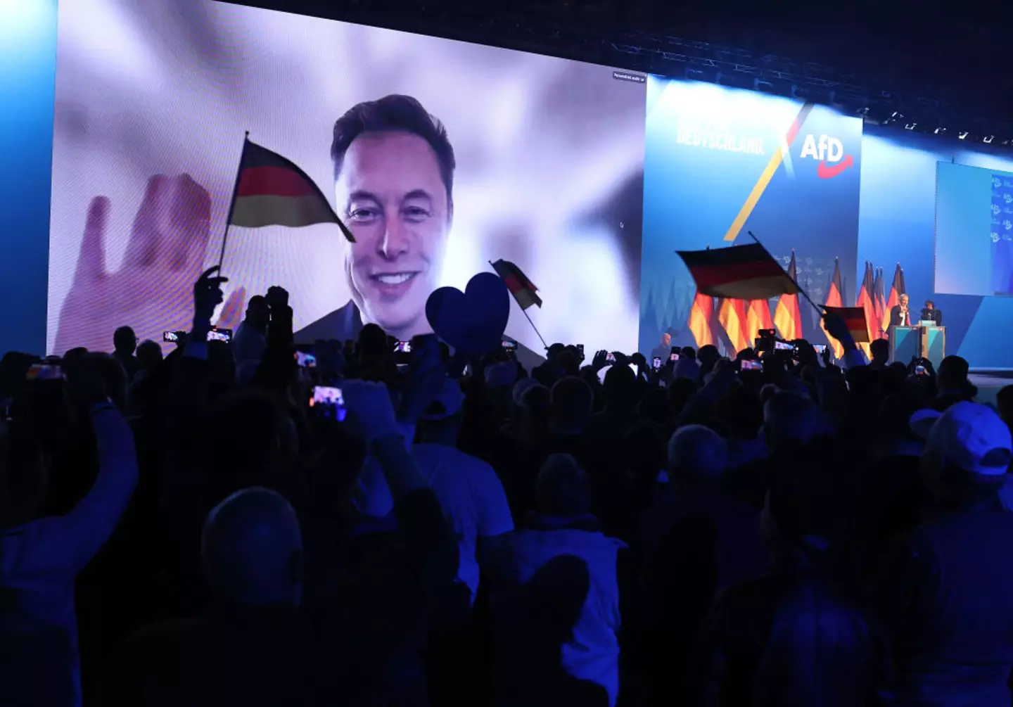 Musk appeared at an AfD conference, and has repeatedly pledged his support for the far right party on social media (Sean Gallup/Getty Images)
