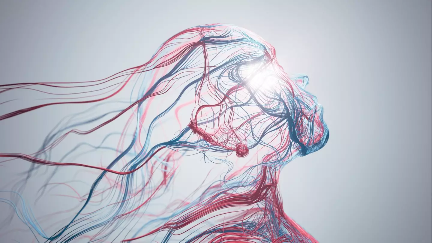 Can your blood vessels really go around the world twice? (DKosig / Getty)