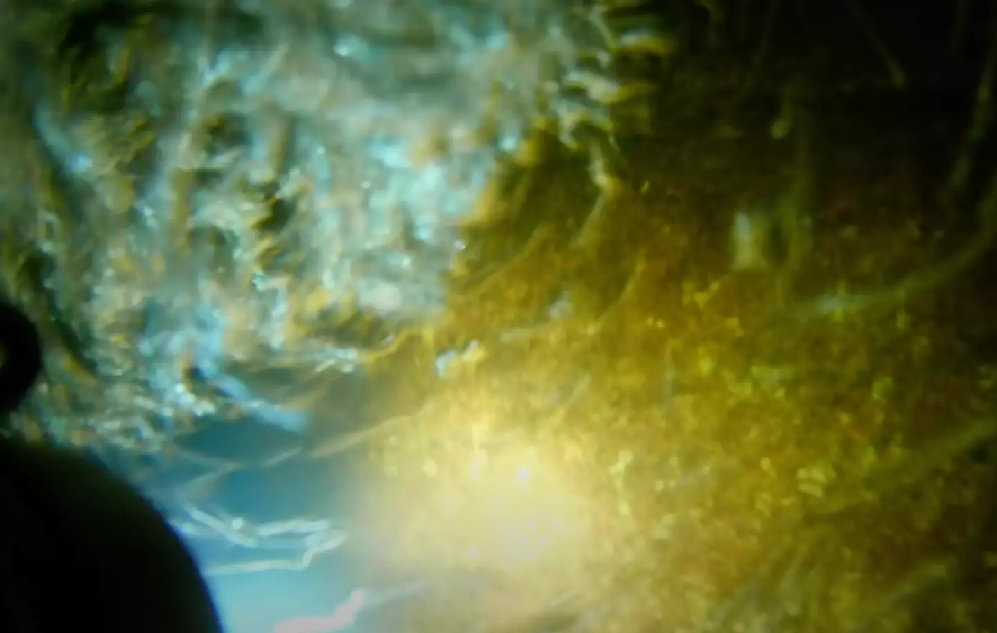 The air bubbles rip past the camera (YouTube/@jackasnacks)