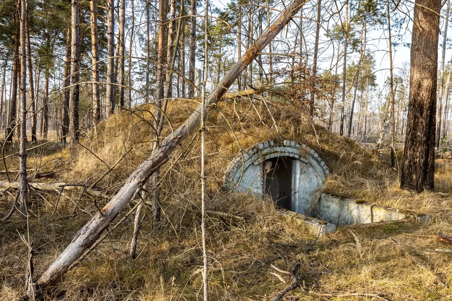 Fitts claims that the US government has spent $22 trillion on large scale underground bunkers to protect the ultra-rich (Getty Stock)