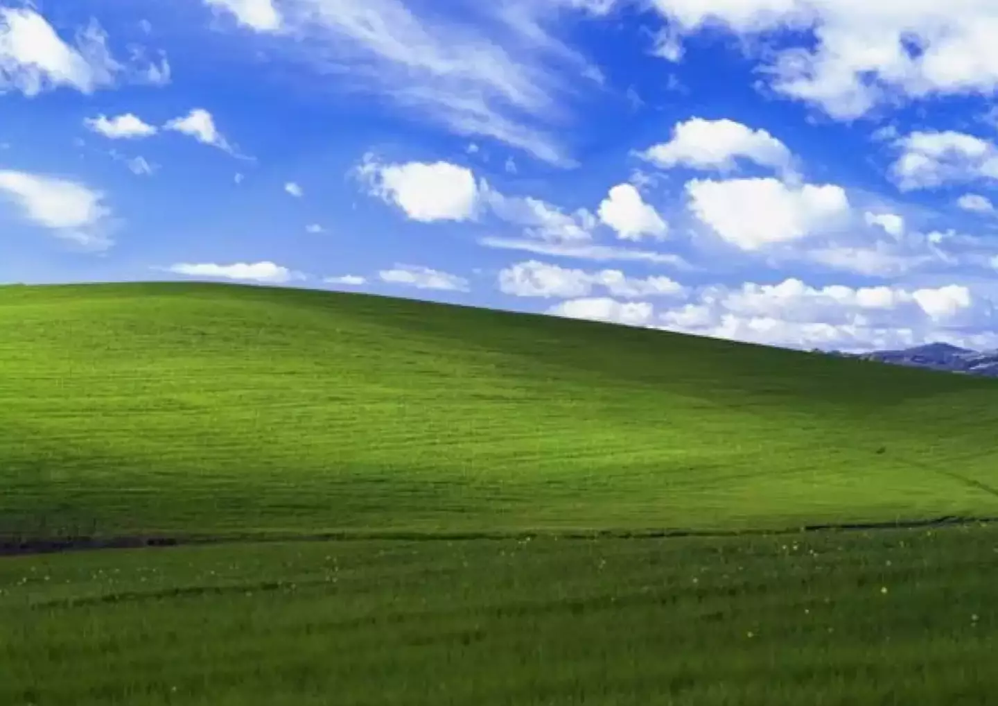 That image is 'Bliss,' which is instantly recognizable as the Microsoft Windows background (Microsoft Windows XP)