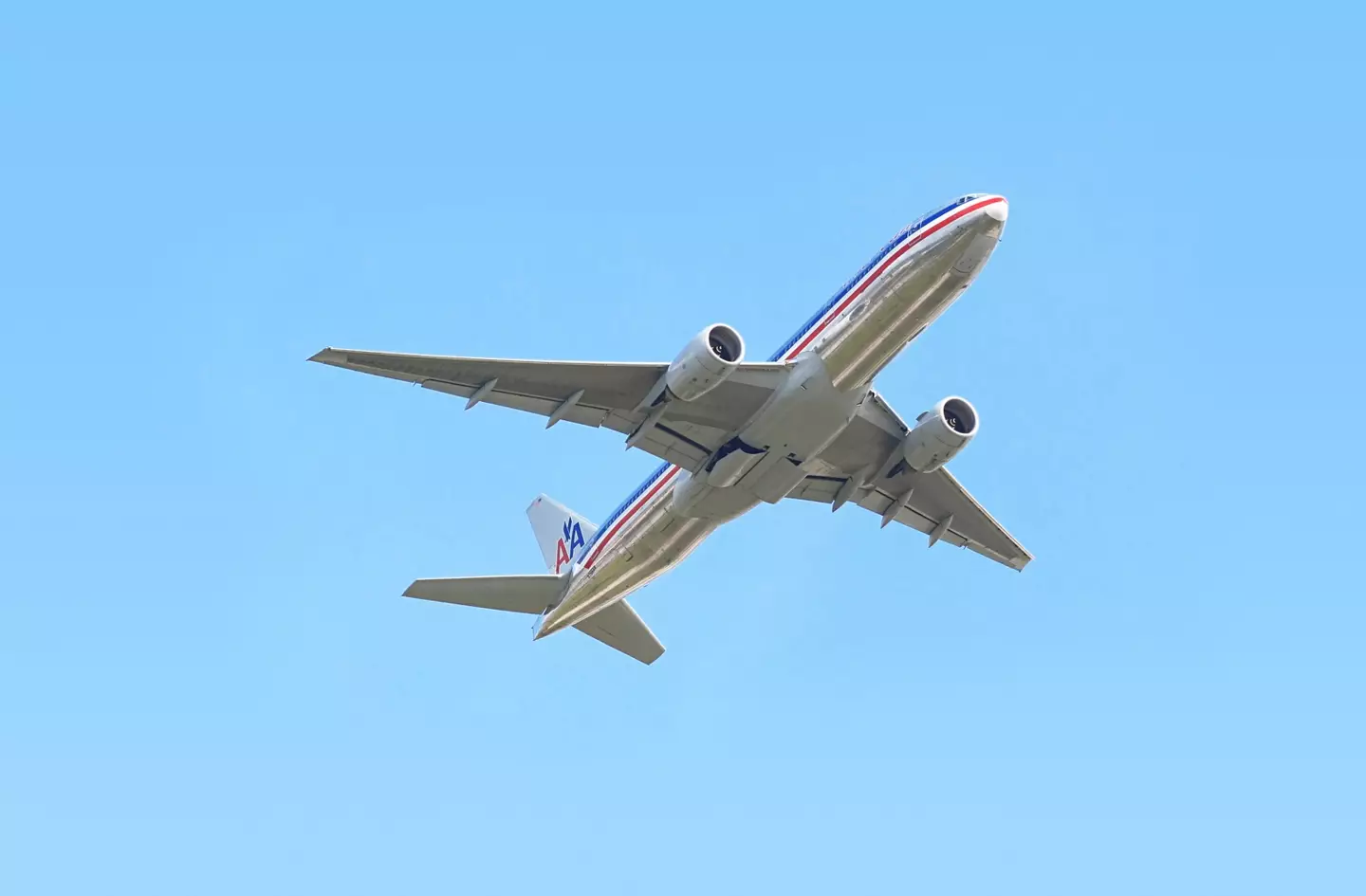 After rinsing the ticket, Rothstein had it removed by American Airlines (Zoonar RF/Getty)