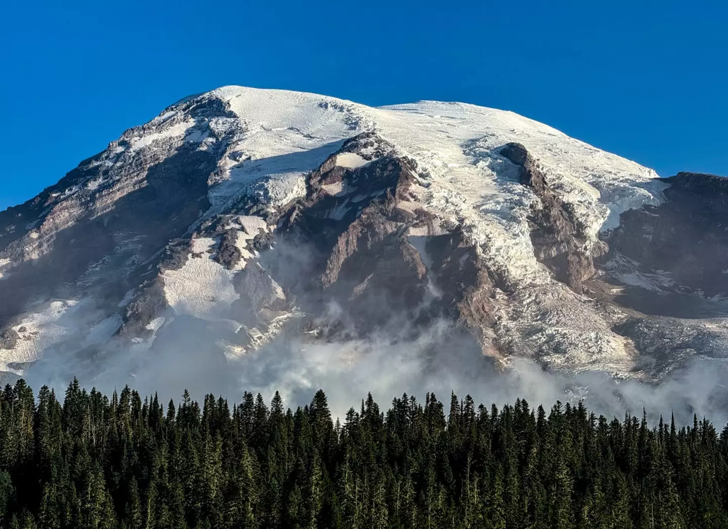 Mt. Rainier's eruption would cause devastating effect on the surrounding area in under half an hour (George Rose/Getty Images)