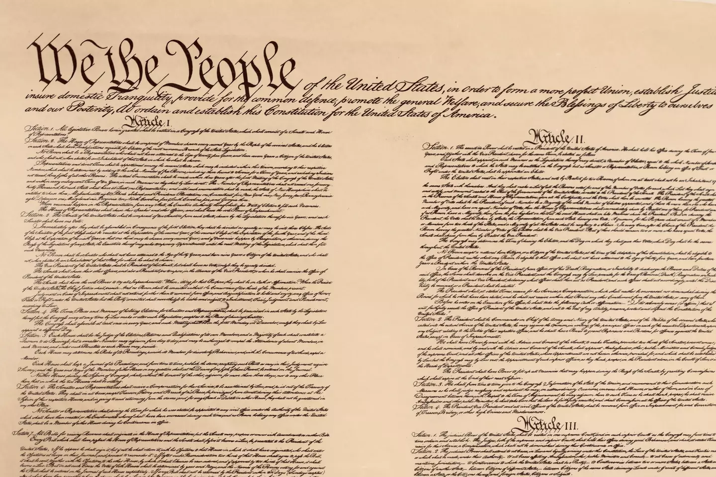 Congress appeared to have quietly deleted major parts of the constitution from their website (Douglas Sacha/Getty Images)
