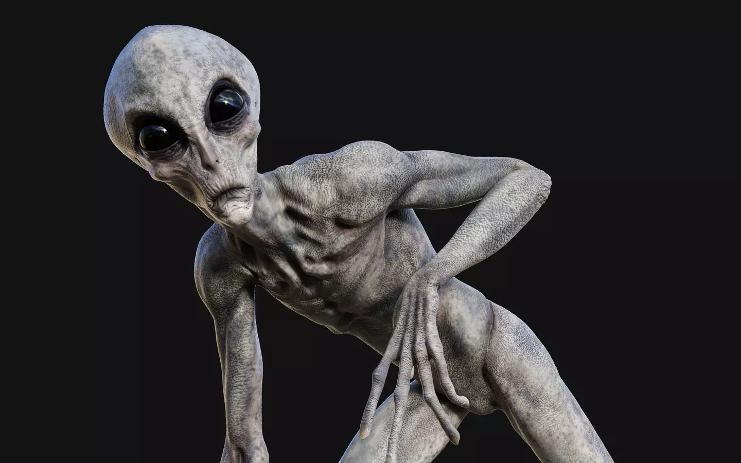 The four alien types are described as ‘Grays, Nordics, Insectoids, and Reptilians’ (mrjo2405/Getty Images)