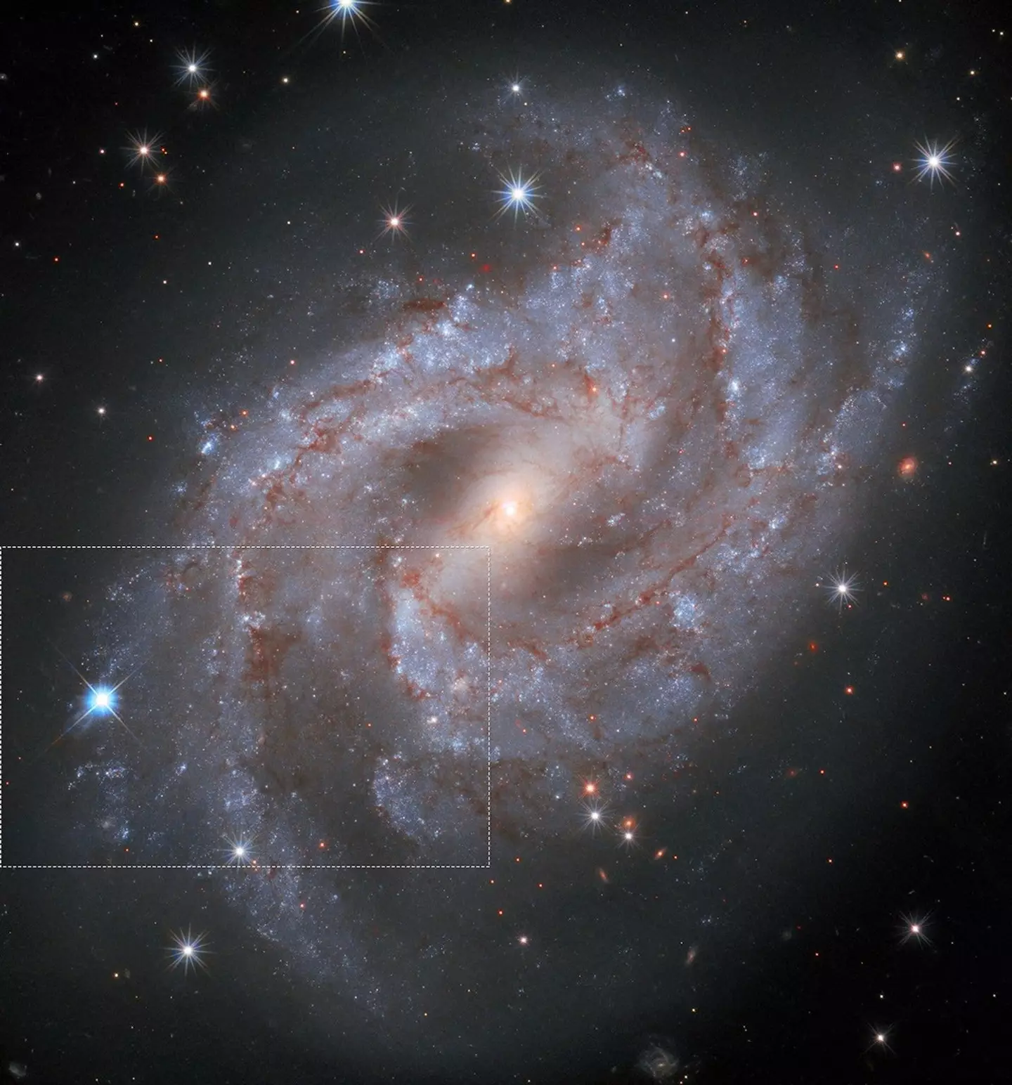 The star is initially brighter than anything else, but shortly fades into obscurity (NASA/ESA/Hubble)
