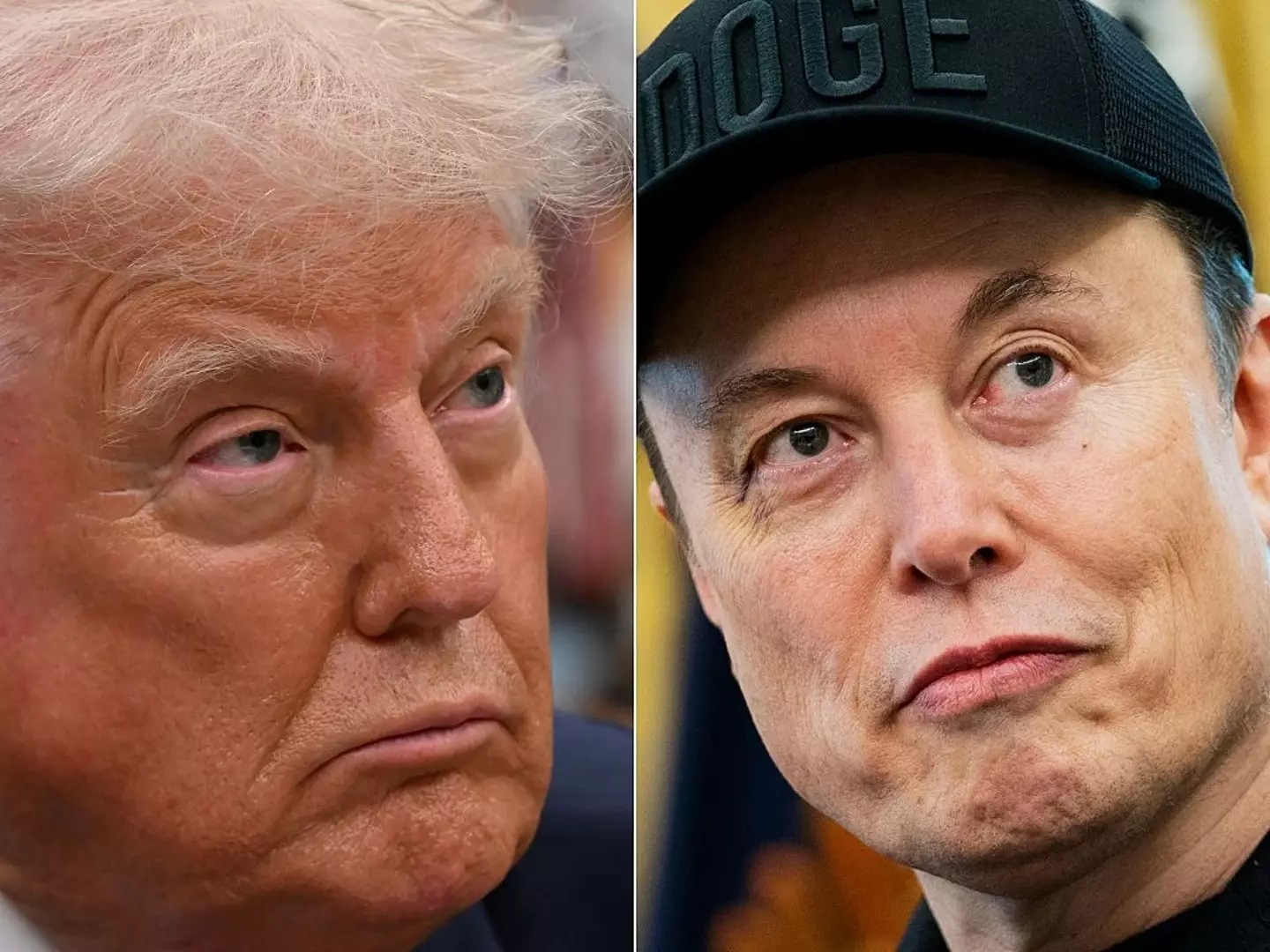Donald Trump & Elon Musk (Getty Images)