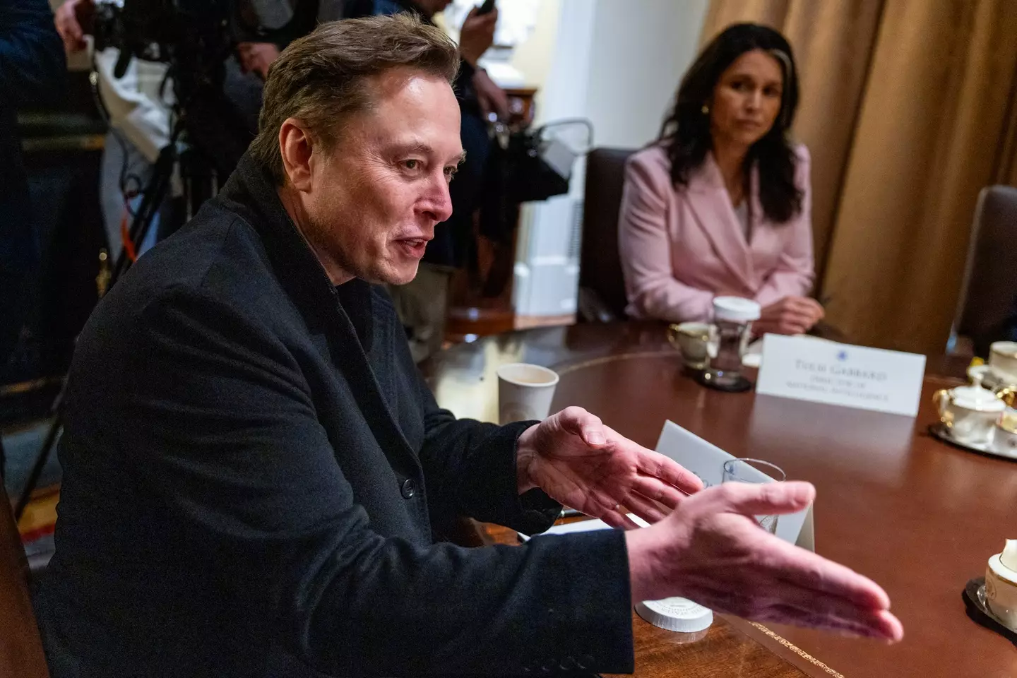 Elon Musk has found himself at the center of government in recent months