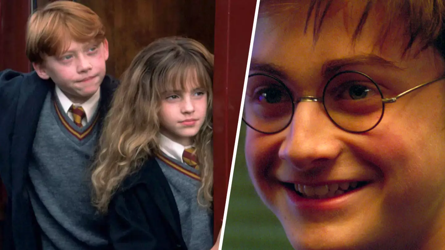 Harry Potter fans unite over 'perfect' recast of fan favourite for TV series