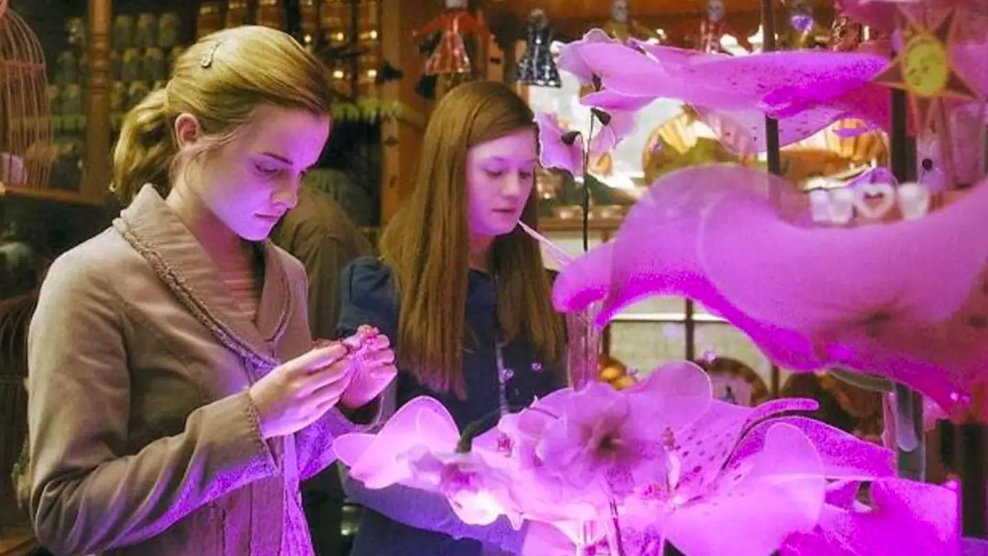Harry Potter fans surprised with free download ahead of Valentine's Day