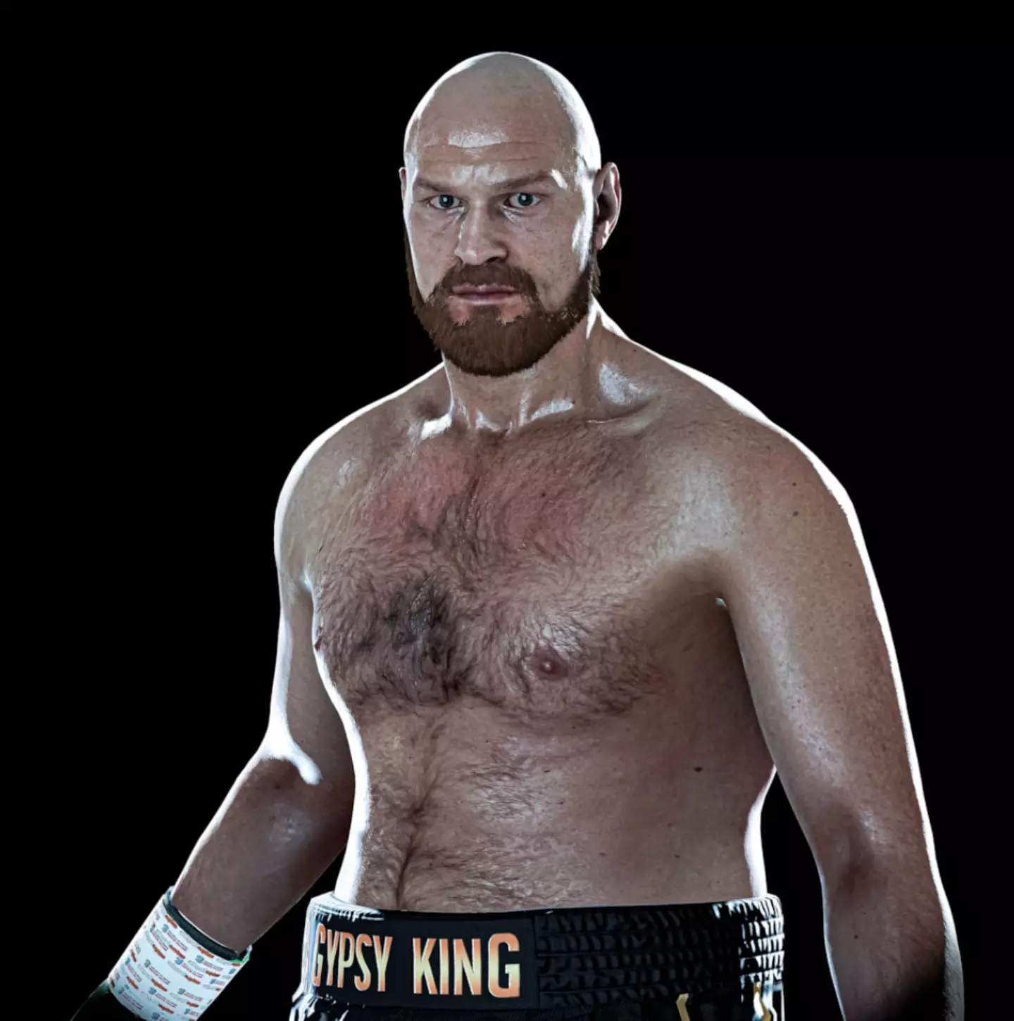 You can fight as the Gypsy King (Steel City)