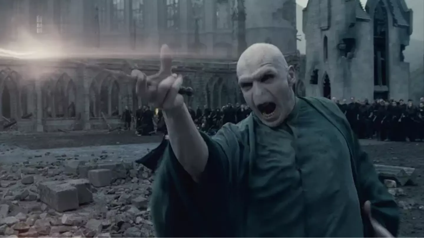 Harry Potter HBO reboot Voldemort dream casting unites fans: 'I see it'