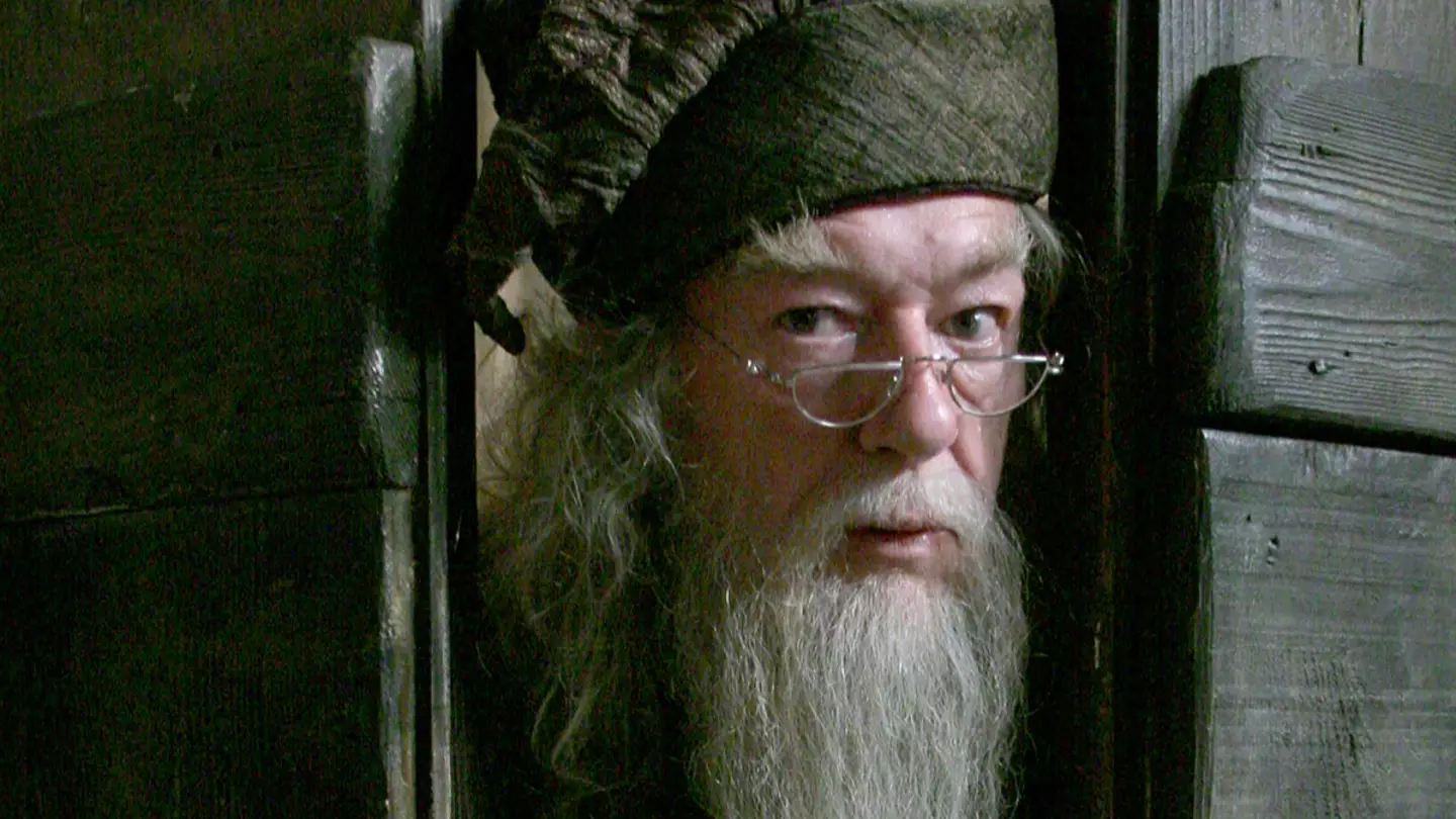 Harry Potter HBO reboot has found its Dumbledore, it seems