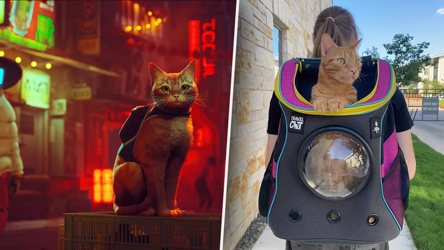 Official 'Stray' Merch Lets You Take Your Cat On IRL Adventures