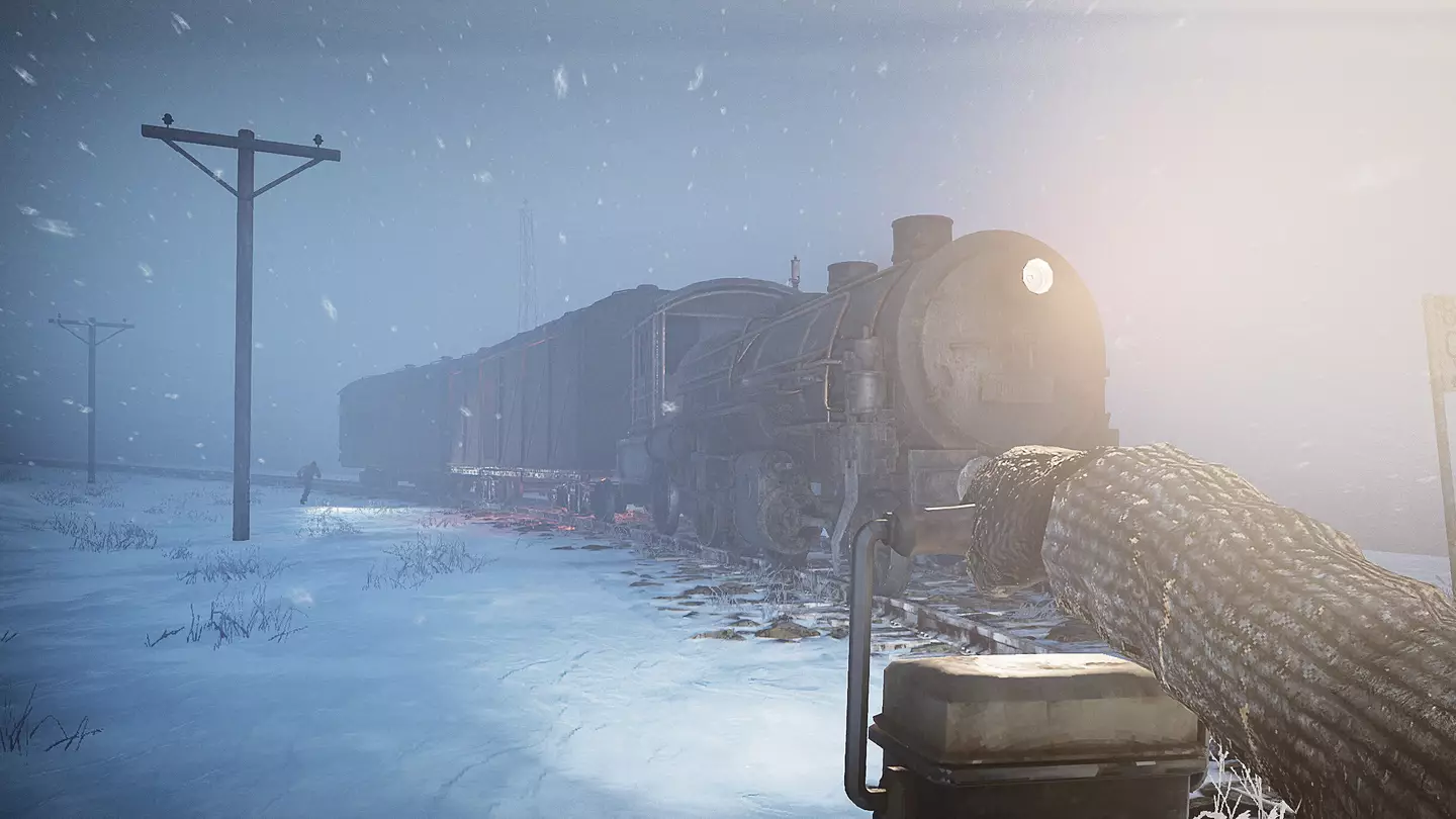 Fallout meets Red Dead Redemption and Valheim in brutal new RPG