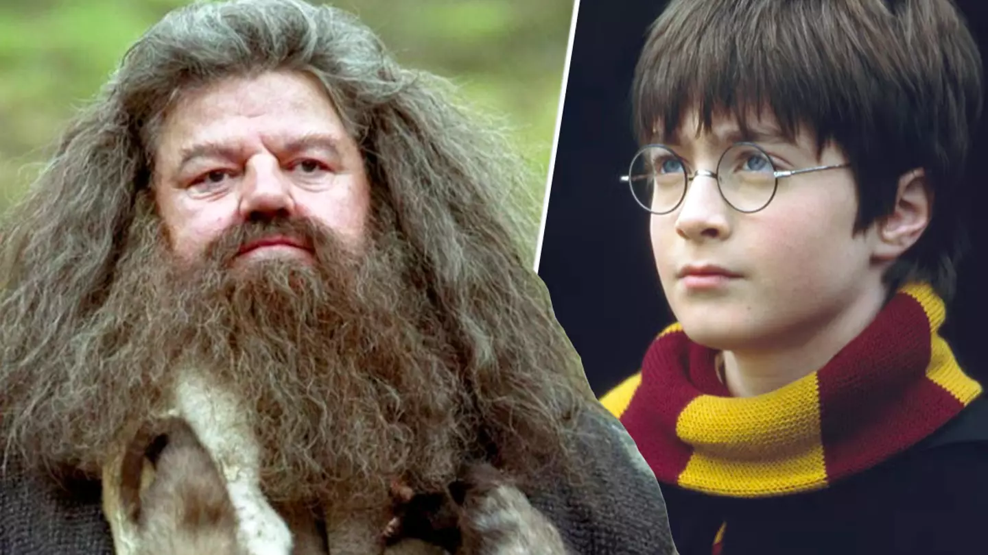 Harry Potter fans seriously divided over new Hagrid casting: 'I don't see it'