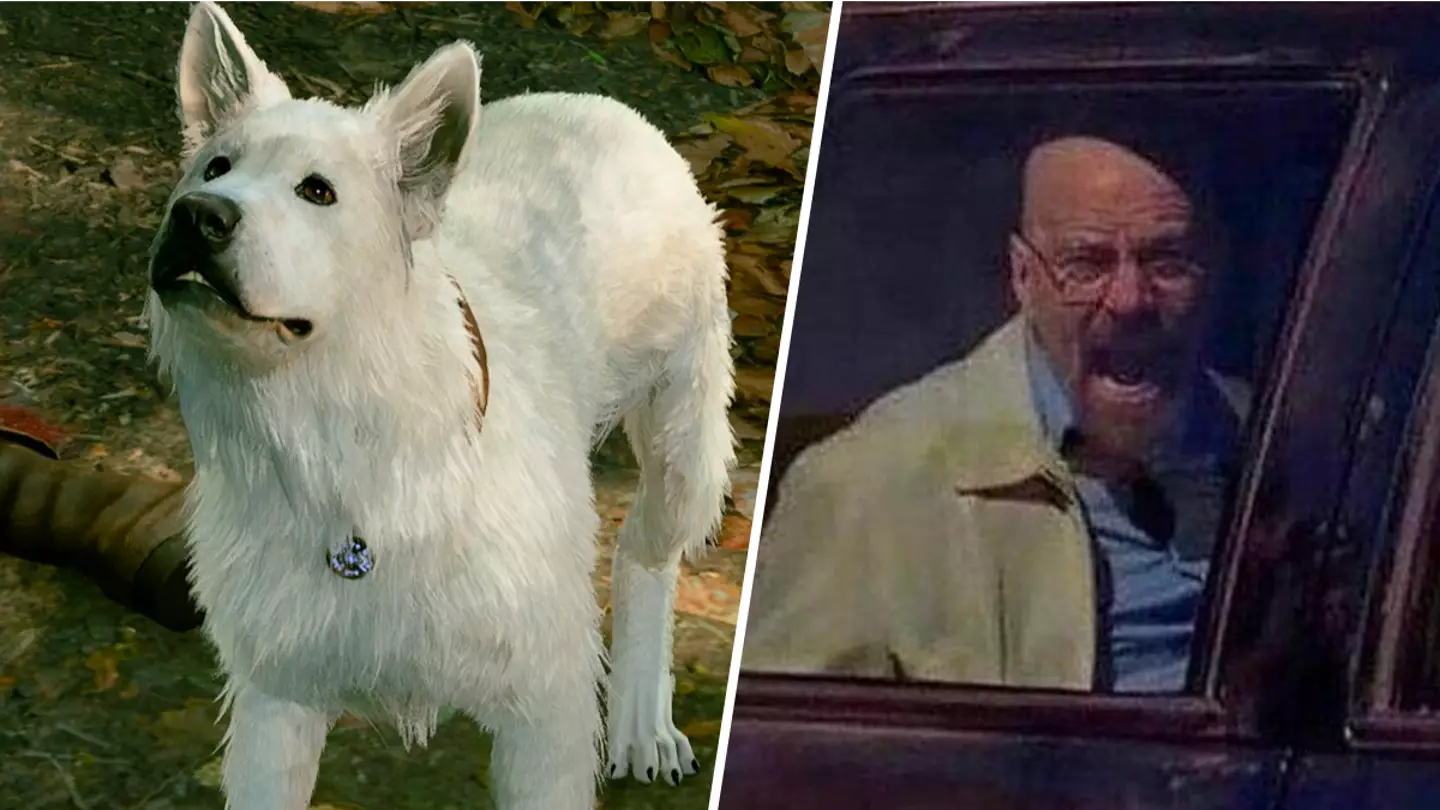 Baldur's Gate 3 player accidentally kills Scratch the dog while playing fetch