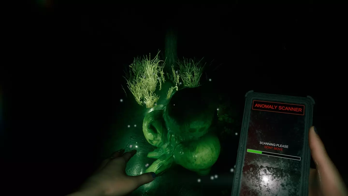 Tropical-Games Studio