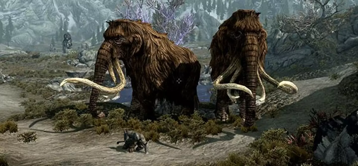 Skyrim