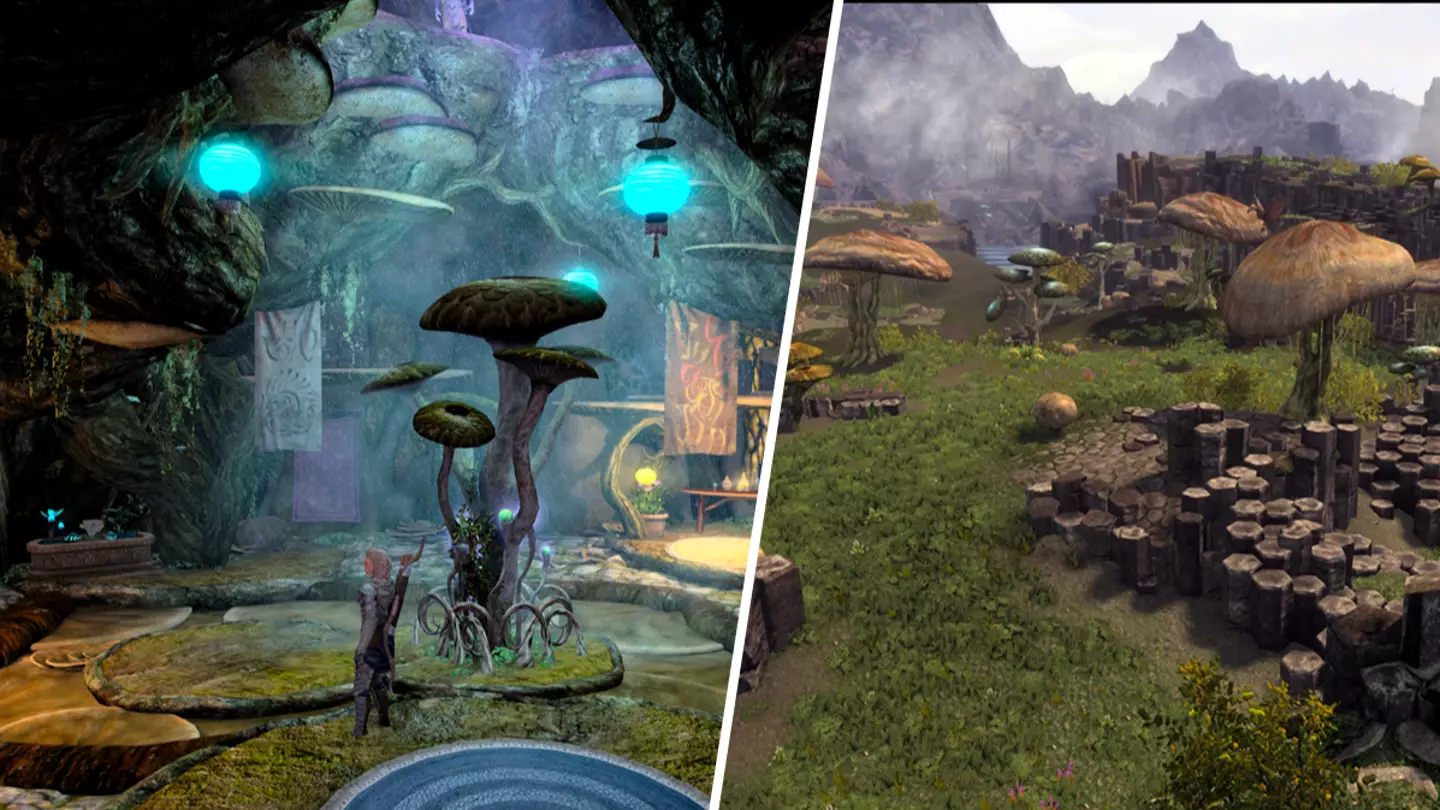 New Elder Scrolls remake has 3 times as many NPCs as Skyrim