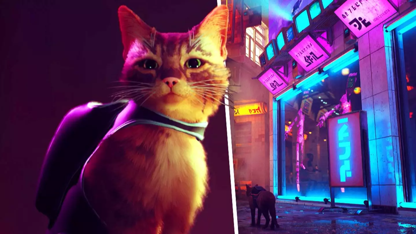 Cat Detective Game 'Stray' Is Free To Download This Month, Here's How