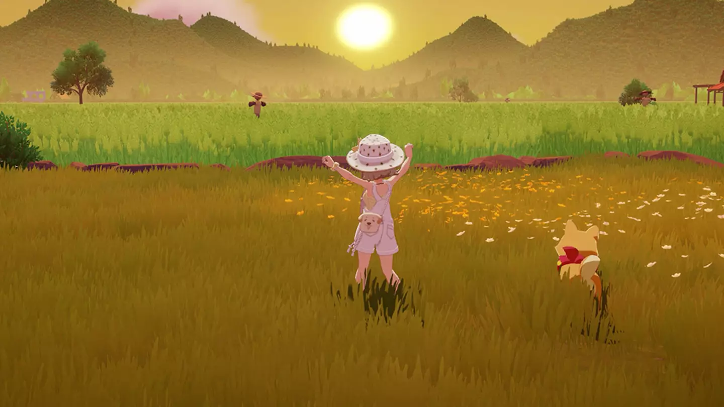 Starsand Island, Credit / Seed Lab