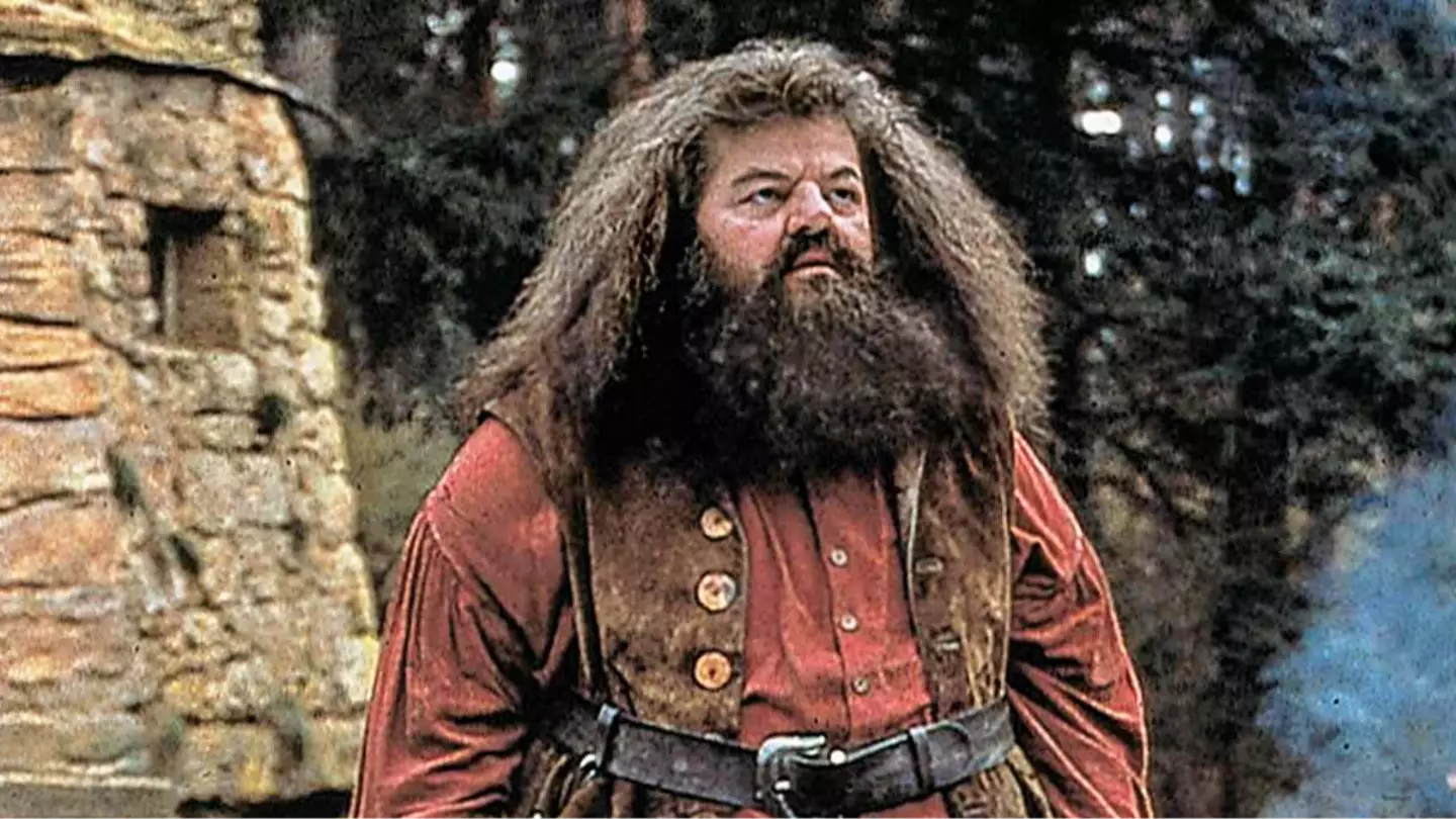 Harry Potter HBO reboot gives first look at our new Hagrid