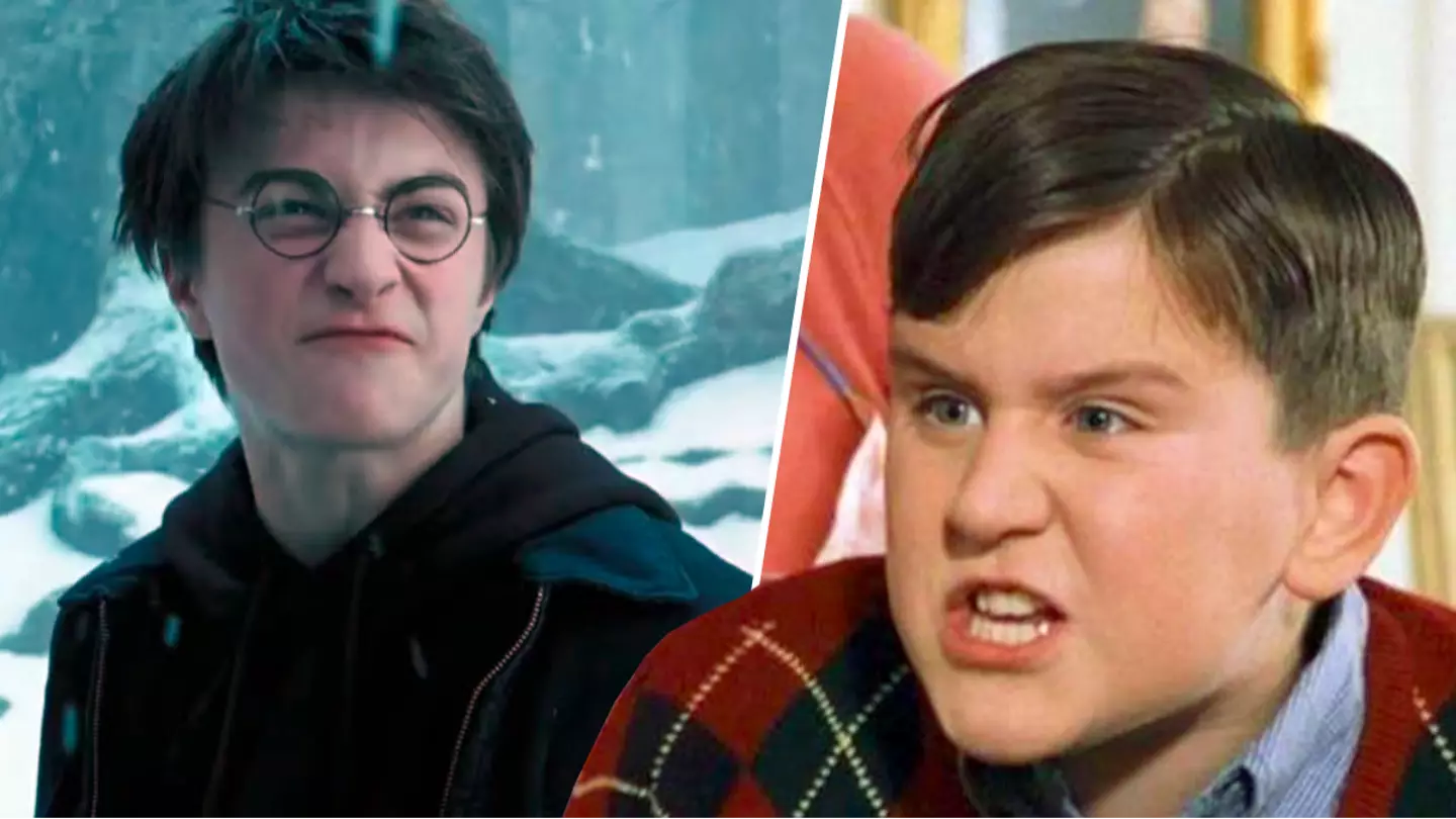 Harry Potter fans warmed to learn what happened to Dudley after Deathly Hallows