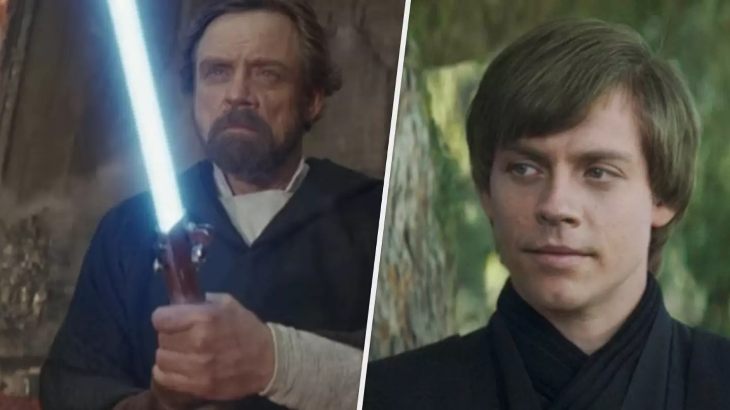 Star Wars Fans Are Divided Over Luke Skywalker's New Actor