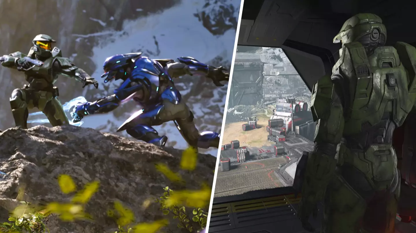 Halo fans urged to check out 'wonderful' new game