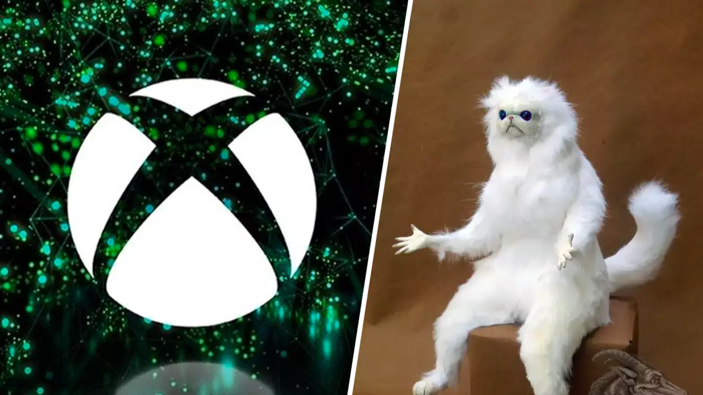 Gamer orders £450 Xbox, gets bag of cat litter